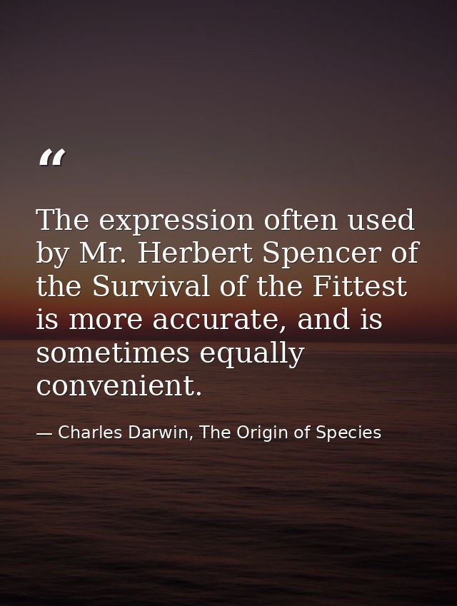 The expression often used by Mr. Herbert Spencer of the Survival of the Fittest is more accurate, and is sometimes equal — Charles Darwin, The Origin of Species