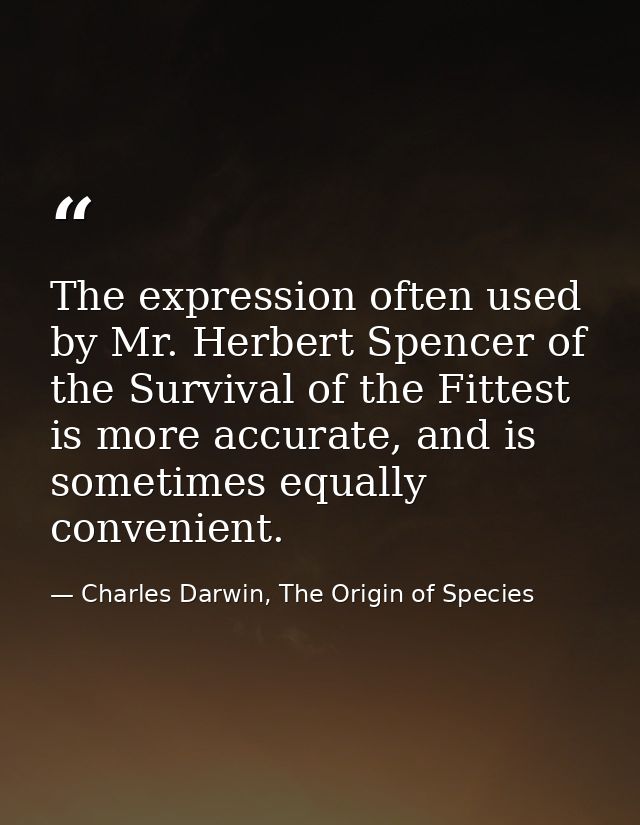 The expression often used by Mr. Herbert Spencer of the Survival of the Fittest is more accurate, and is sometimes equal — Charles Darwin, The Origin of Species