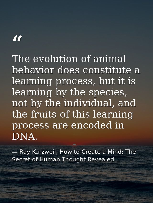 The evolution of animal behavior does constitute a learning process, but it is learning by the species, not by the indiv — Ray Kurzweil, How to Create a Mind: The Secret of Human Thought Revealed