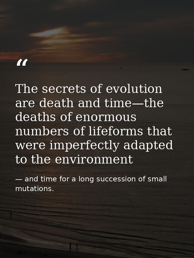 The secrets of evolution are death and time—the deaths of enormous numbers of lifeforms that were imperfectly adapted to — and time for a long succession of small mutations.