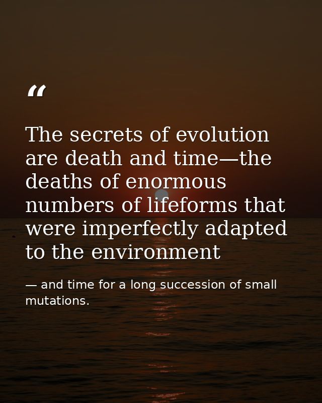 The secrets of evolution are death and time—the deaths of enormous numbers of lifeforms that were imperfectly adapted to — and time for a long succession of small mutations.