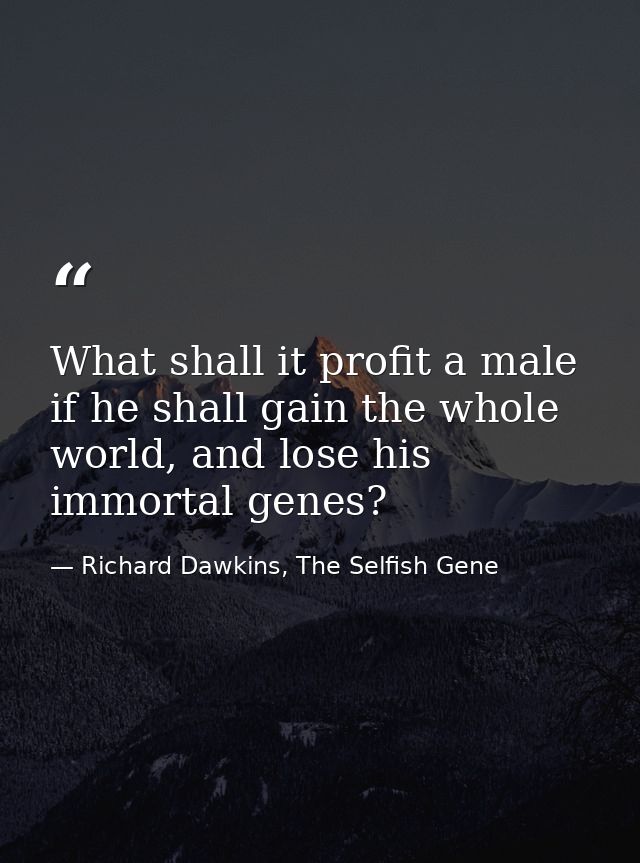 What shall it profit a male if he shall gain the whole world, and lose his immortal genes? — Richard Dawkins, The Selfish Gene