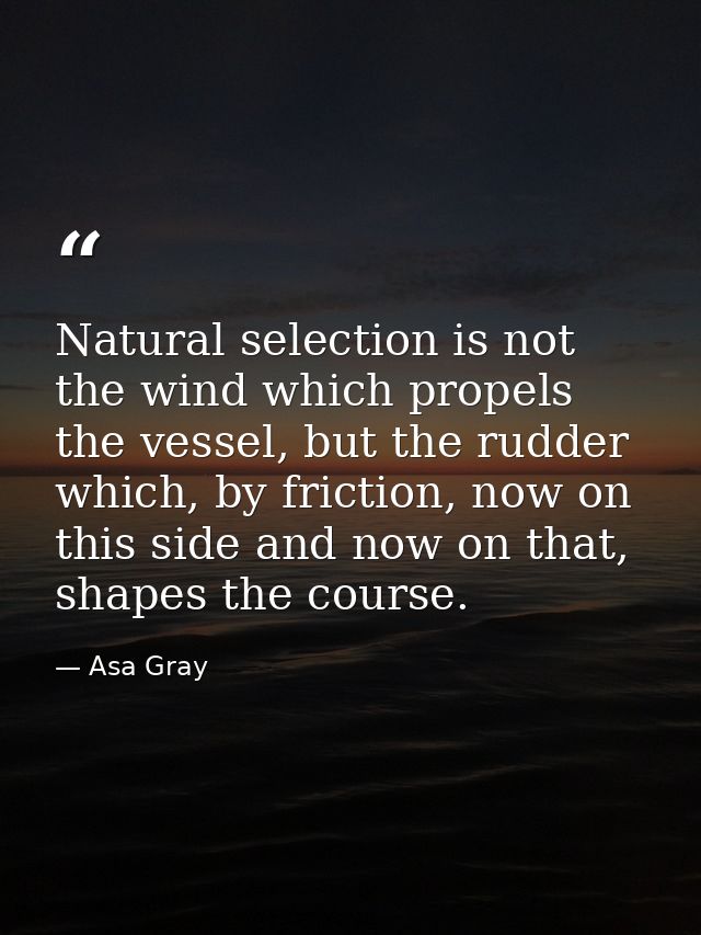 Natural selection is not the wind which propels the vessel, but the rudder which, by friction, now on this side and now  — Asa Gray