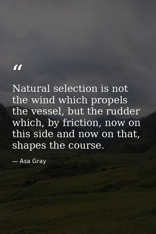 Natural selection is not the wind which propels the vessel, but the rudder which, by friction, now on this side and now  — Asa Gray