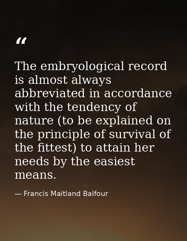 The embryological record is almost always abbreviated in accordance with the tendency of nature (to be explained on the  — Francis Maitland Balfour