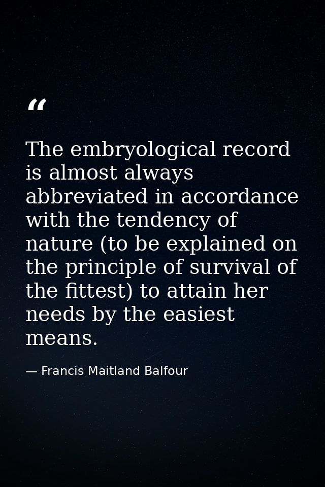 The embryological record is almost always abbreviated in accordance with the tendency of nature (to be explained on the  — Francis Maitland Balfour