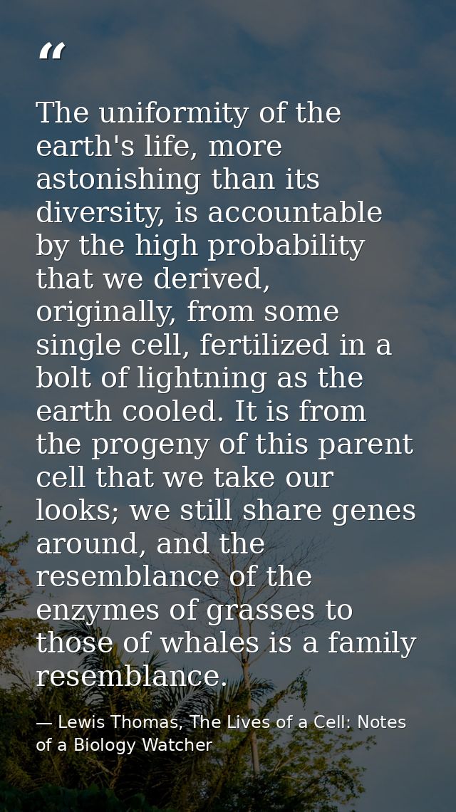 The uniformity of the earth's life, more astonishing than its diversity, is accountable by the high probability that we  — Lewis Thomas, The Lives of a Cell: Notes of a Biology Watcher