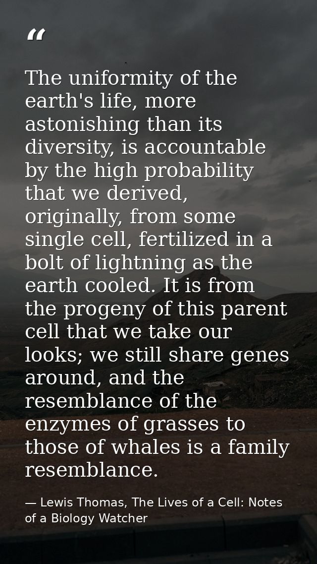 The uniformity of the earth's life, more astonishing than its diversity, is accountable by the high probability that we  — Lewis Thomas, The Lives of a Cell: Notes of a Biology Watcher