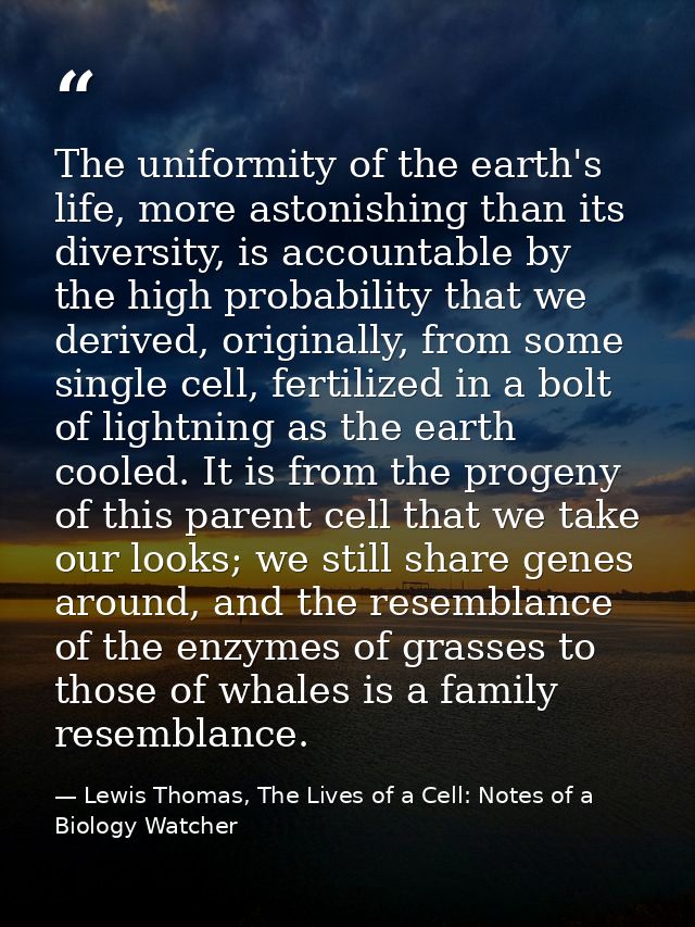 The uniformity of the earth's life, more astonishing than its diversity, is accountable by the high probability that we  — Lewis Thomas, The Lives of a Cell: Notes of a Biology Watcher