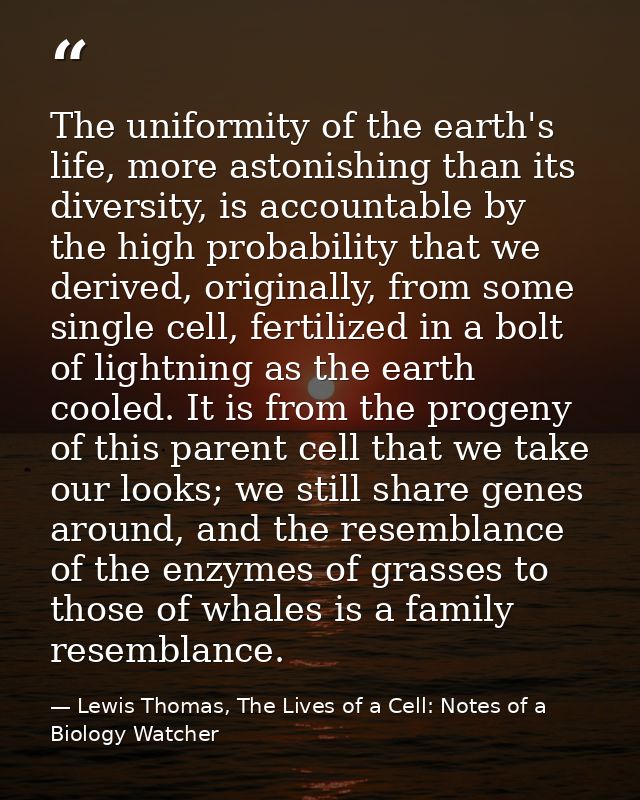 The uniformity of the earth's life, more astonishing than its diversity, is accountable by the high probability that we  — Lewis Thomas, The Lives of a Cell: Notes of a Biology Watcher