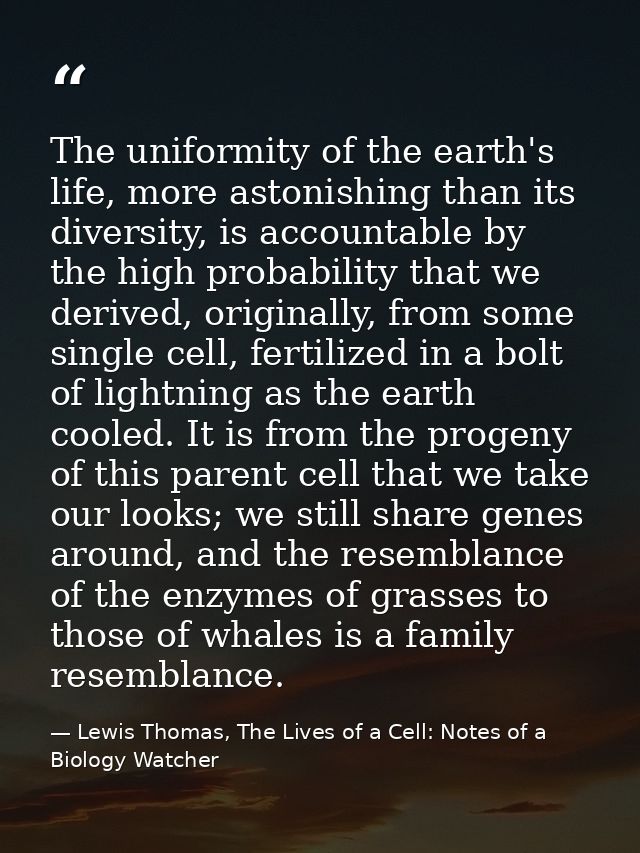 The uniformity of the earth's life, more astonishing than its diversity, is accountable by the high probability that we  — Lewis Thomas, The Lives of a Cell: Notes of a Biology Watcher