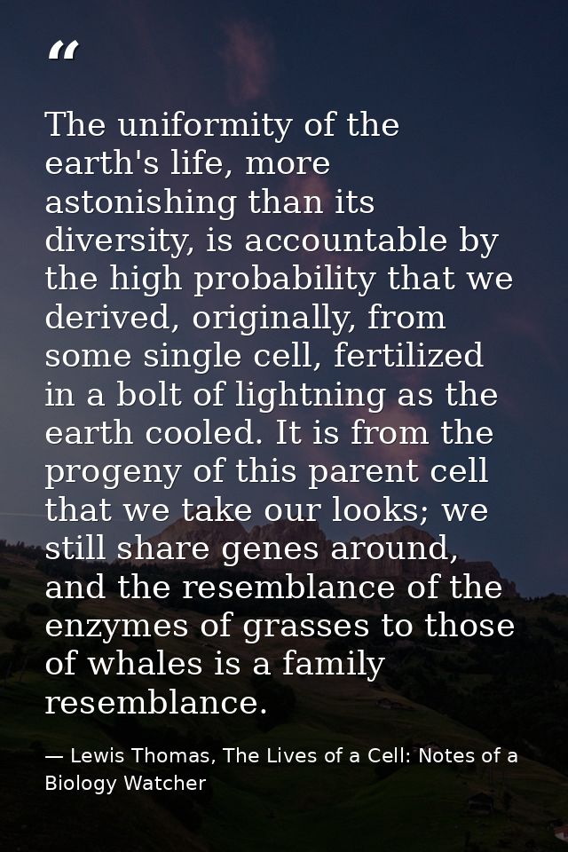 The uniformity of the earth's life, more astonishing than its diversity, is accountable by the high probability that we  — Lewis Thomas, The Lives of a Cell: Notes of a Biology Watcher