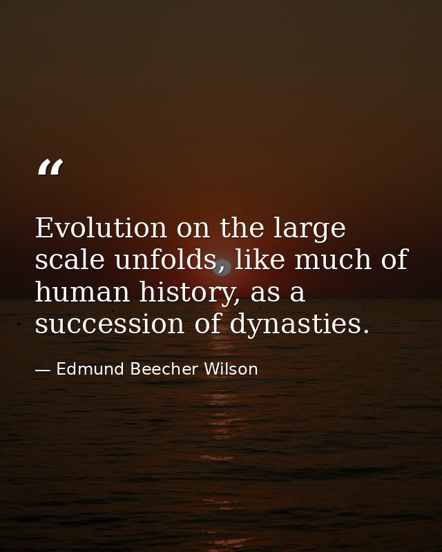 Evolution on the large scale unfolds, like much of human history, as a succession of dynasties. — Edmund Beecher Wilson