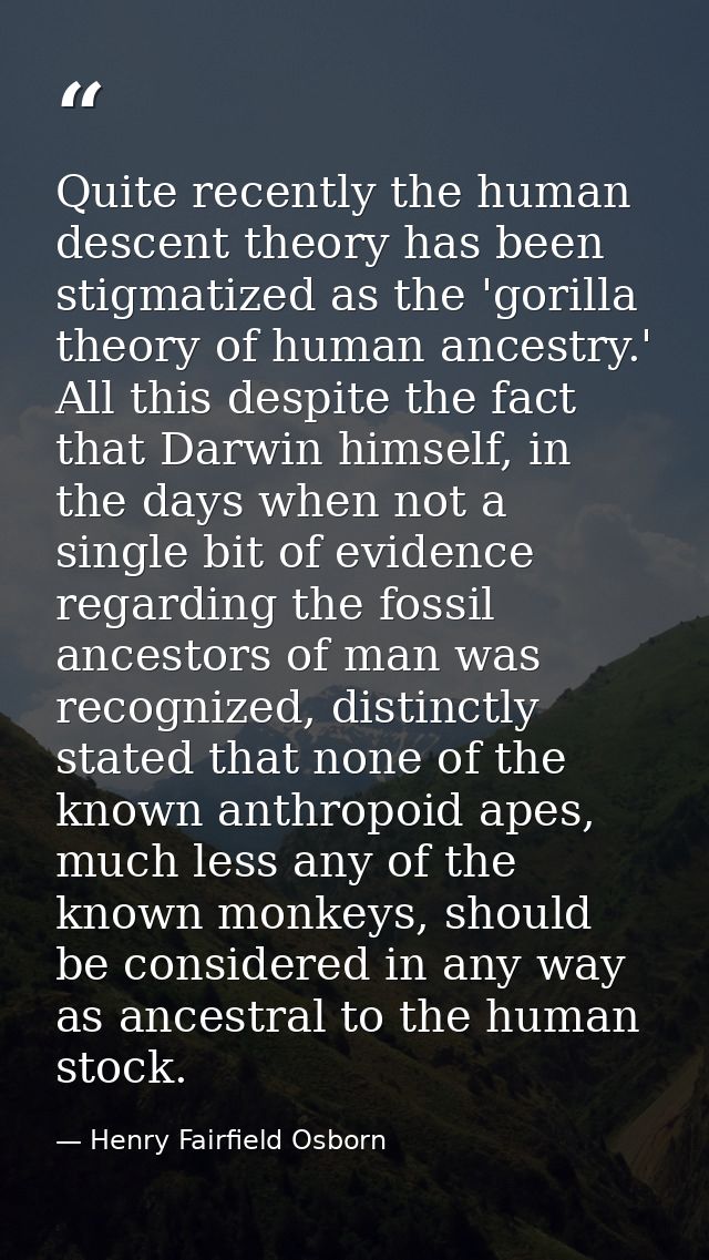 Quite recently the human descent theory has been stigmatized as the 'gorilla theory of human ancestry.' All this despite — Henry Fairfield Osborn