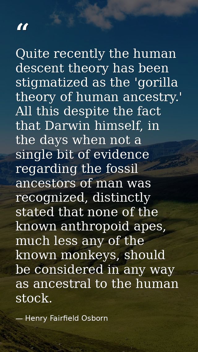 Quite recently the human descent theory has been stigmatized as the 'gorilla theory of human ancestry.' All this despite — Henry Fairfield Osborn