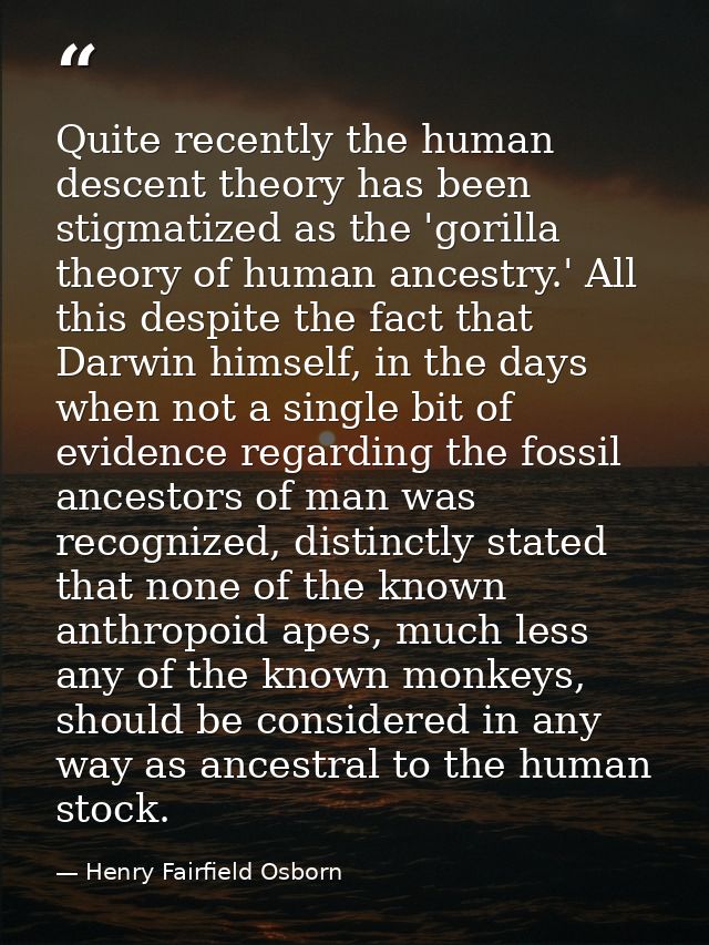 Quite recently the human descent theory has been stigmatized as the 'gorilla theory of human ancestry.' All this despite — Henry Fairfield Osborn