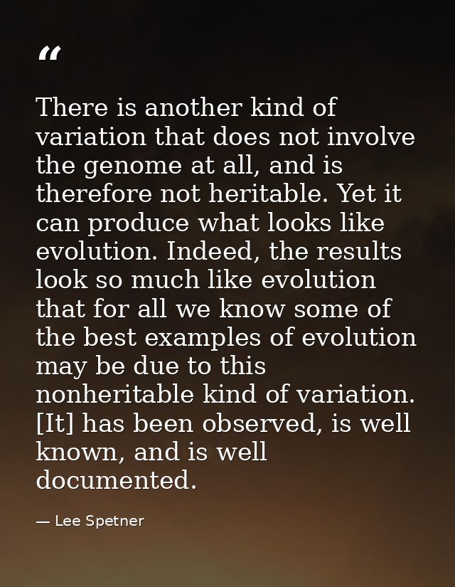 There is another kind of variation that does not involve the genome at all, and is therefore not heritable. Yet it can p — Lee Spetner