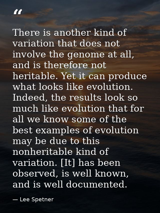 There is another kind of variation that does not involve the genome at all, and is therefore not heritable. Yet it can p — Lee Spetner
