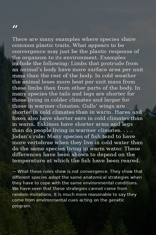 There are many examples where species share common plastic traits. What appears to be convergence may just be the plasti — What these rules show is not convergence. They show that different species adopt the same anatomical strategies when they have to cope with the same environmental conditions. We have seen that these strategies cannot come from random mutations. It is much more reasonable to say they come from environmental cues acting on the genetic program.