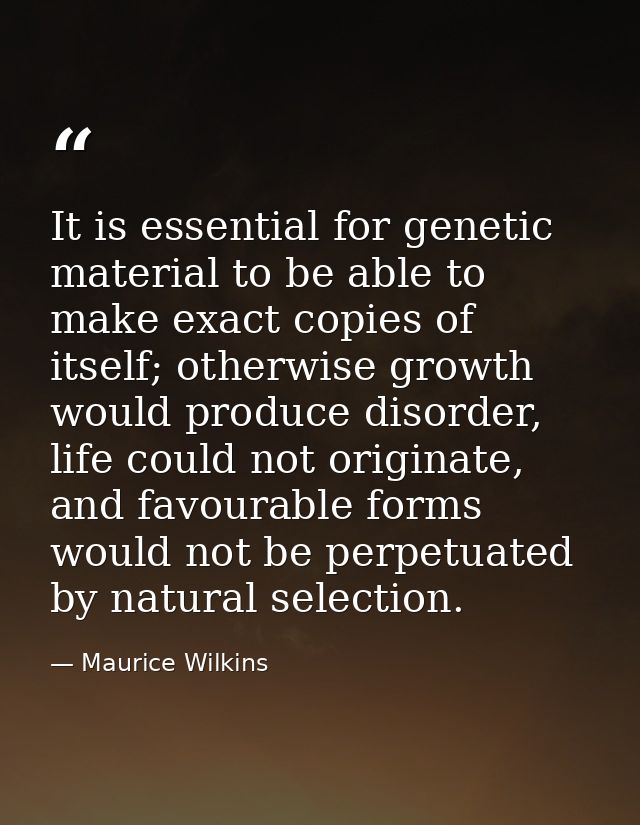 It is essential for genetic material to be able to make exact copies of itself; otherwise growth would produce disorder, — Maurice Wilkins