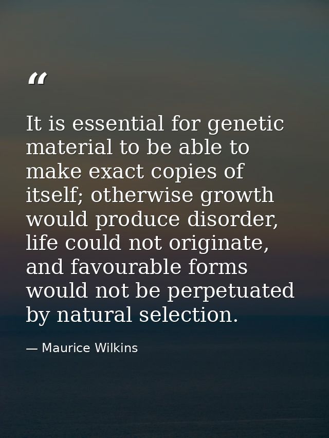 It is essential for genetic material to be able to make exact copies of itself; otherwise growth would produce disorder, — Maurice Wilkins