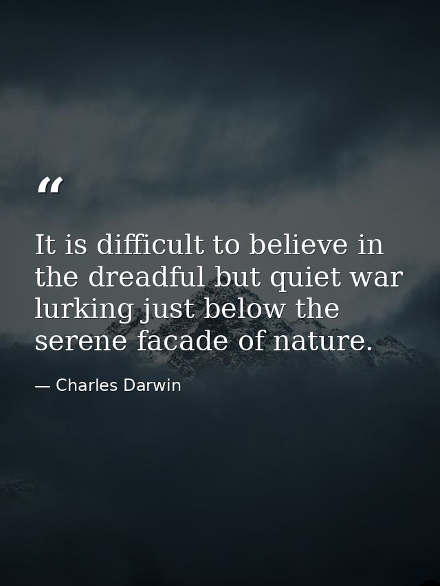 It is difficult to believe in the dreadful but quiet war lurking just below the serene facade of nature. — Charles Darwin
