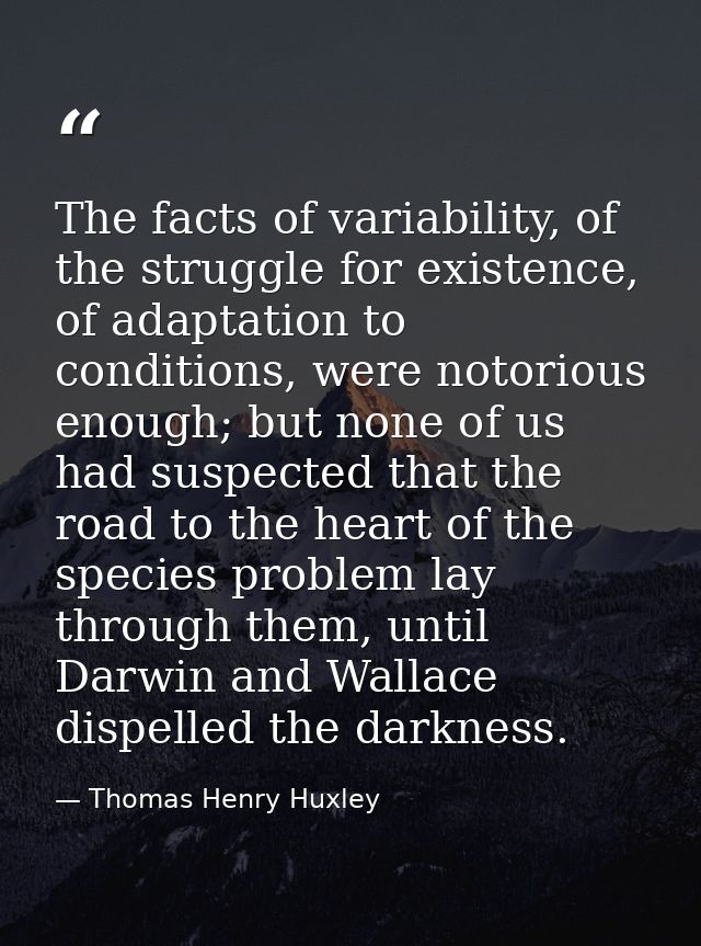 The facts of variability, of the struggle for existence, of adaptation to conditions, were notorious enough; but none of — Thomas Henry Huxley