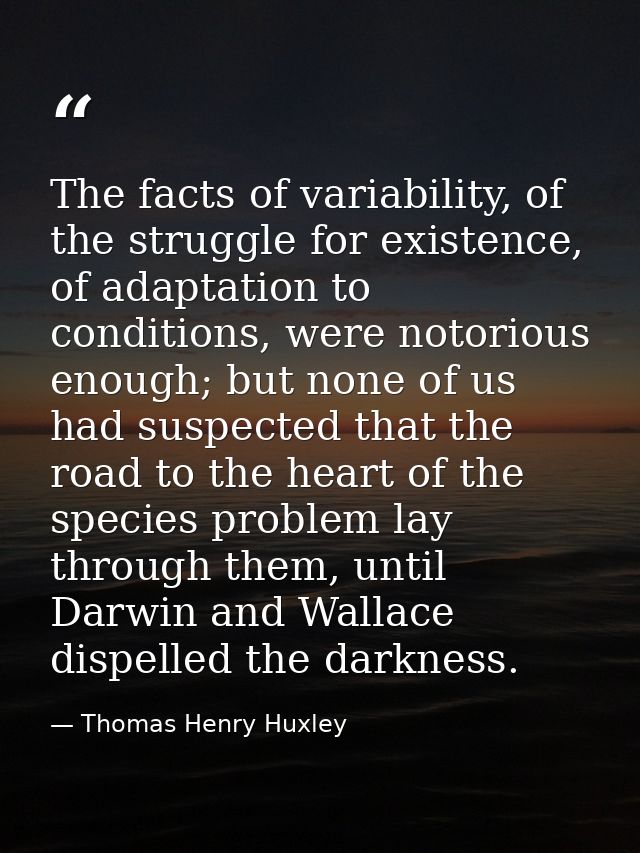 The facts of variability, of the struggle for existence, of adaptation to conditions, were notorious enough; but none of — Thomas Henry Huxley