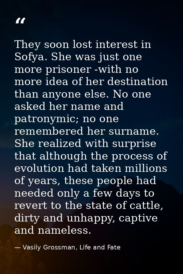 They soon lost interest in Sofya. She was just one more prisoner -with no more idea of her destination than anyone else. — Vasily Grossman, Life and Fate