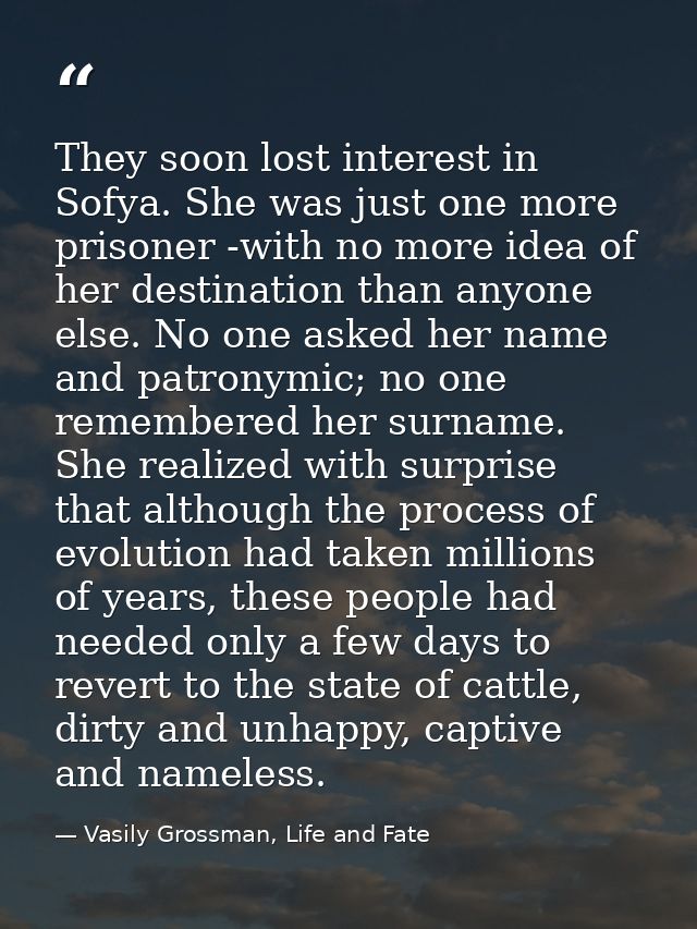They soon lost interest in Sofya. She was just one more prisoner -with no more idea of her destination than anyone else. — Vasily Grossman, Life and Fate