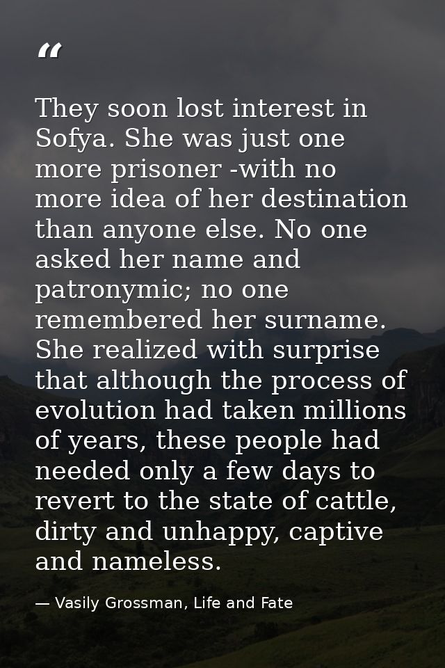 They soon lost interest in Sofya. She was just one more prisoner -with no more idea of her destination than anyone else. — Vasily Grossman, Life and Fate