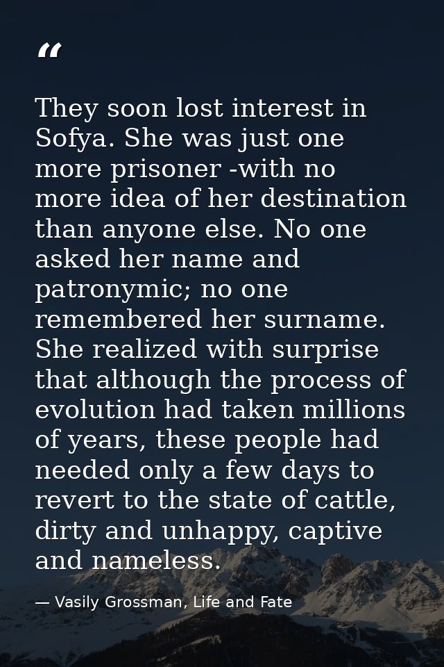 They soon lost interest in Sofya. She was just one more prisoner -with no more idea of her destination than anyone else. — Vasily Grossman, Life and Fate