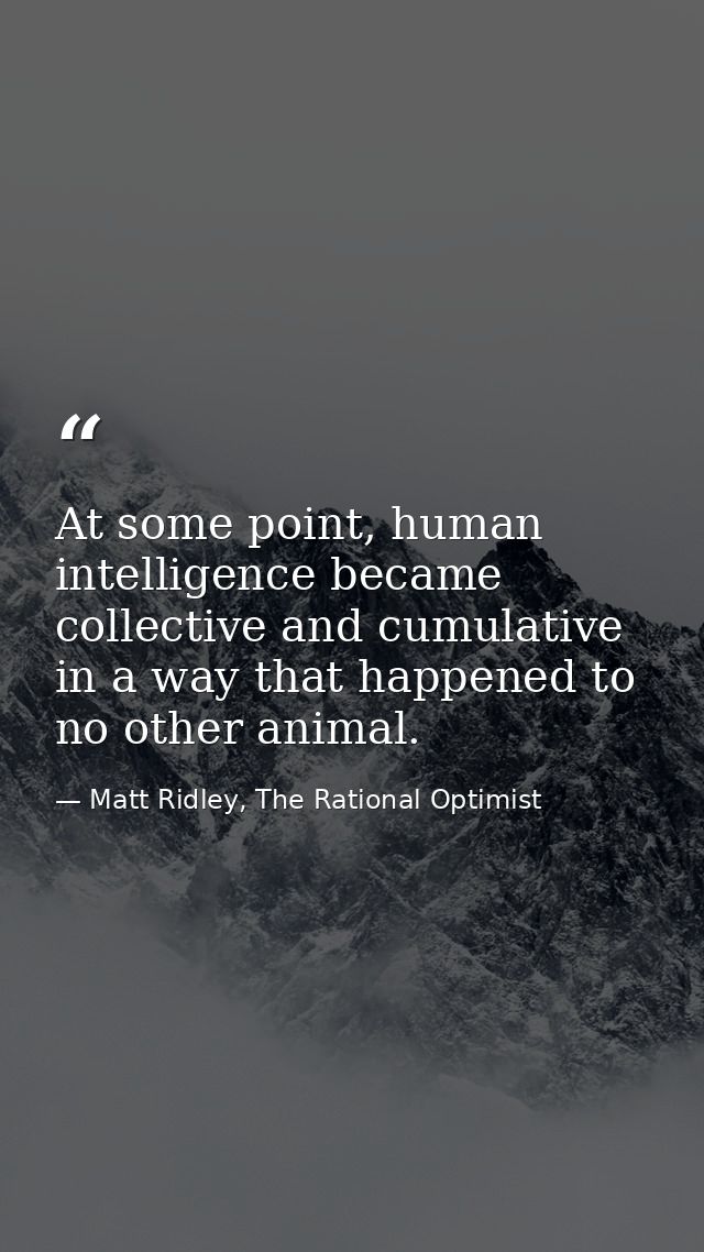 At some point, human intelligence became collective and cumulative in a way that happened to no other animal. — Matt Ridley, The Rational Optimist
