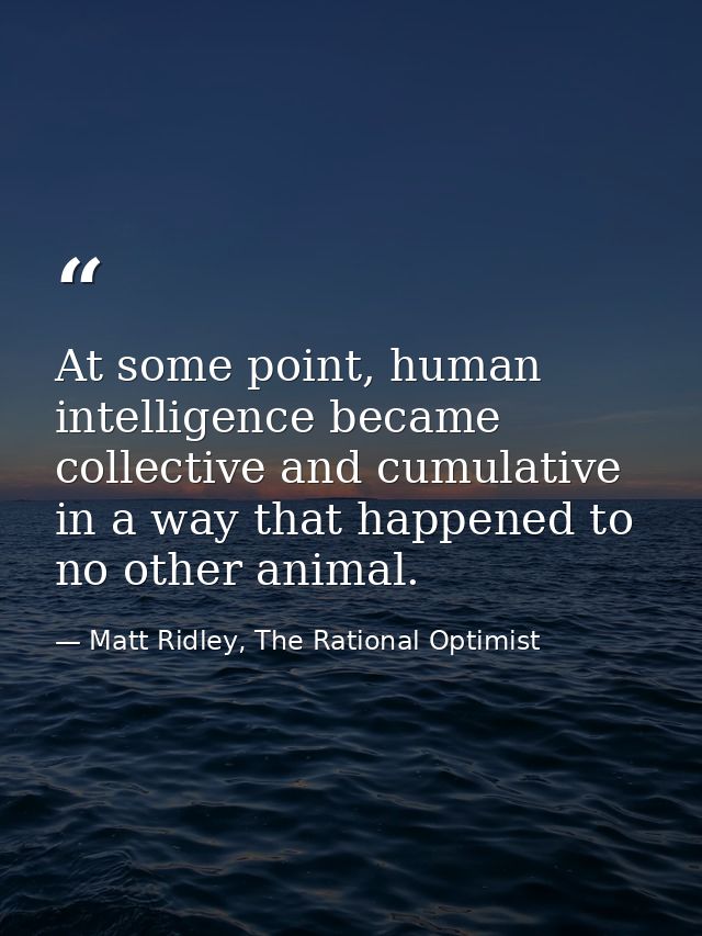 At some point, human intelligence became collective and cumulative in a way that happened to no other animal. — Matt Ridley, The Rational Optimist