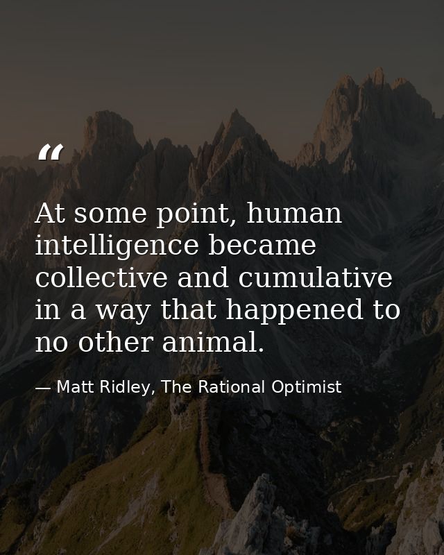 At some point, human intelligence became collective and cumulative in a way that happened to no other animal. — Matt Ridley, The Rational Optimist