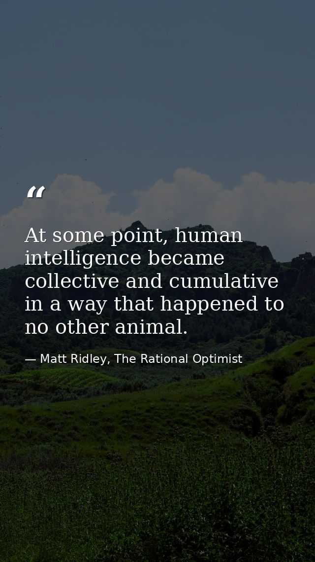 At some point, human intelligence became collective and cumulative in a way that happened to no other animal. — Matt Ridley, The Rational Optimist