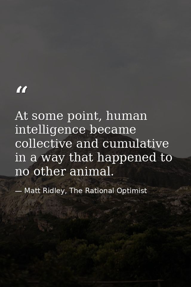 At some point, human intelligence became collective and cumulative in a way that happened to no other animal. — Matt Ridley, The Rational Optimist