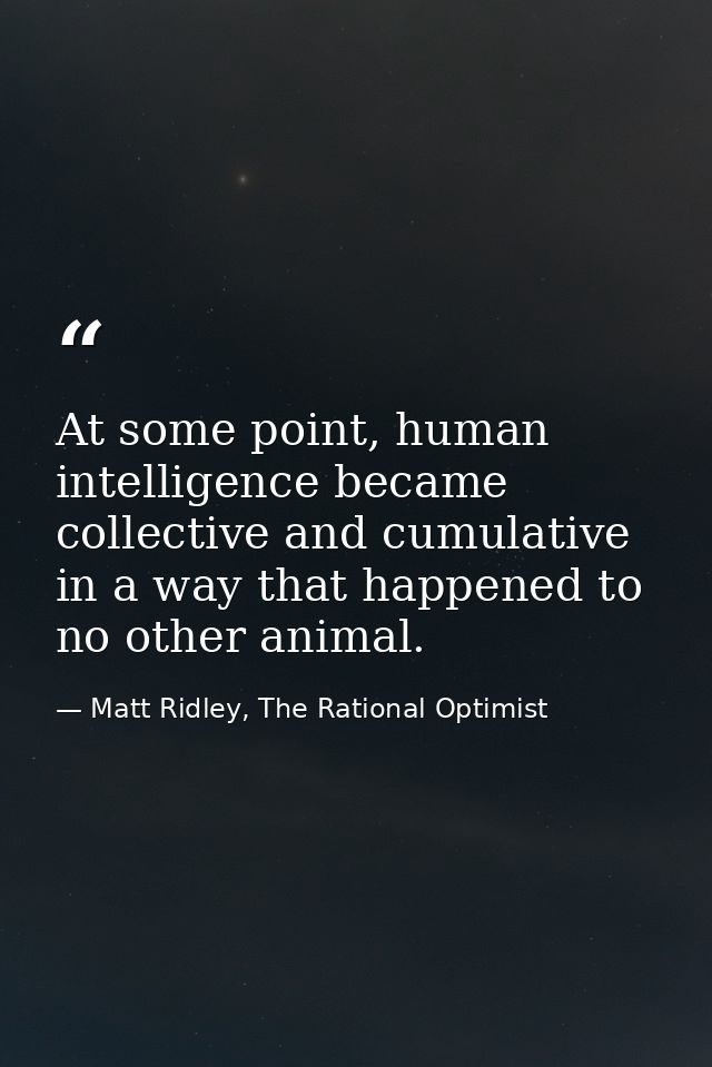 At some point, human intelligence became collective and cumulative in a way that happened to no other animal. — Matt Ridley, The Rational Optimist
