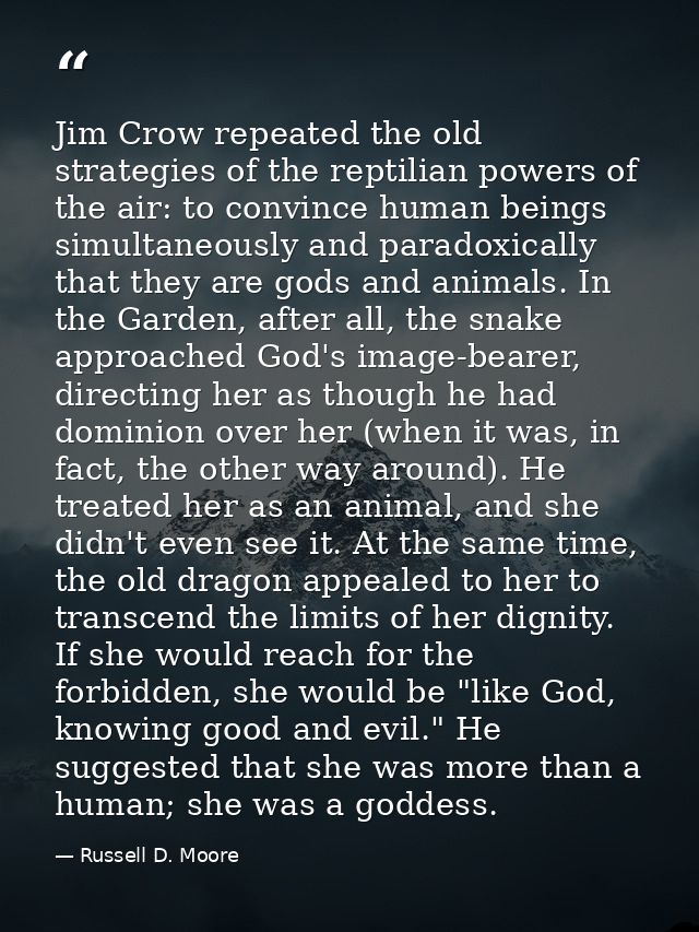Jim Crow repeated the old strategies of the reptilian powers of the air: to convince human beings simultaneously and par — Russell D. Moore