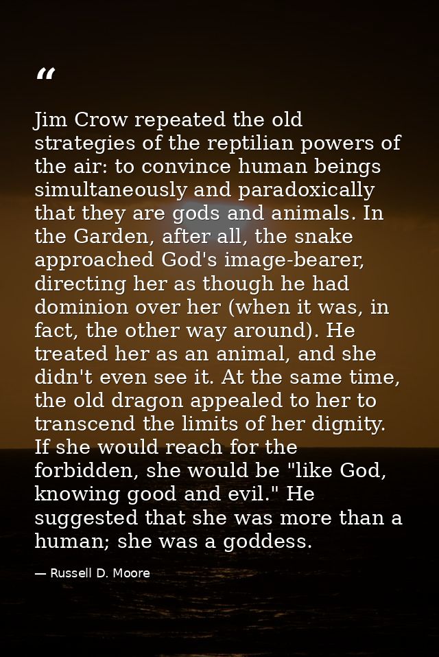 Jim Crow repeated the old strategies of the reptilian powers of the air: to convince human beings simultaneously and par — Russell D. Moore