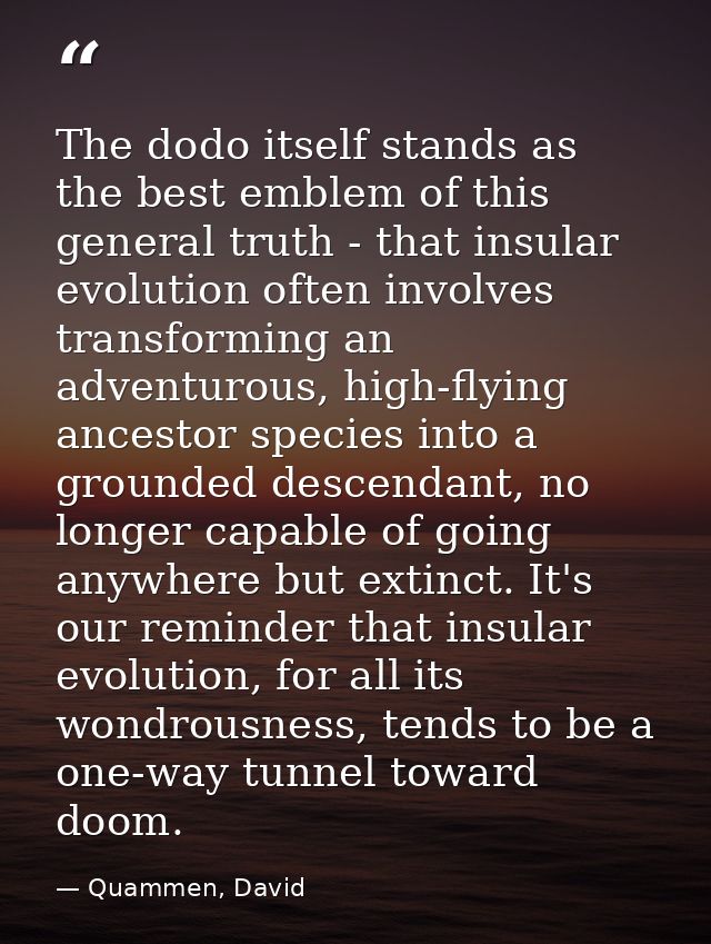 The dodo itself stands as the best emblem of this general truth - that insular evolution often involves transforming an  — Quammen, David