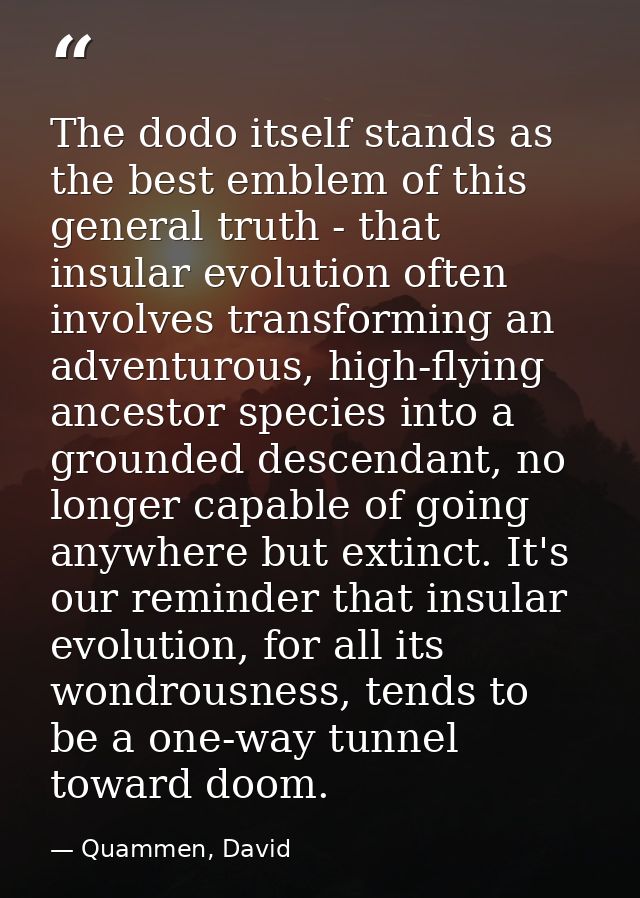 The dodo itself stands as the best emblem of this general truth - that insular evolution often involves transforming an  — Quammen, David