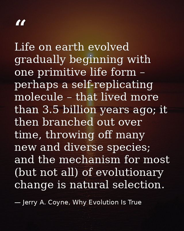 Life on earth evolved gradually beginning with one primitive life form – perhaps a self-replicating molecule – that live — Jerry A. Coyne, Why Evolution Is True