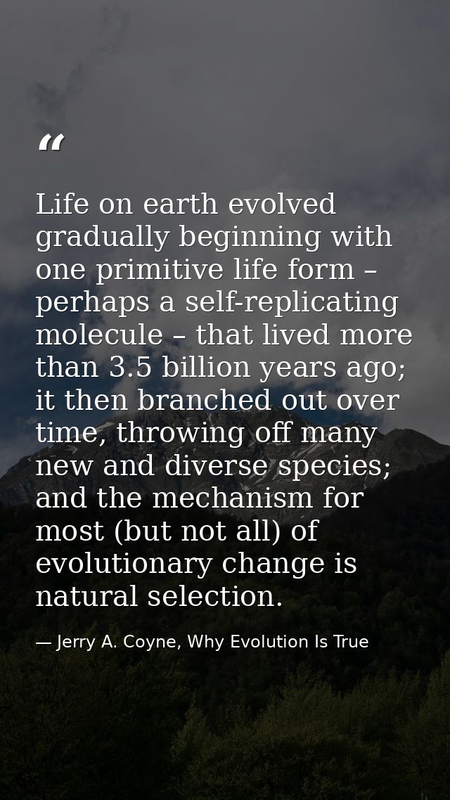 Life on earth evolved gradually beginning with one primitive life form – perhaps a self-replicating molecule – that live — Jerry A. Coyne, Why Evolution Is True