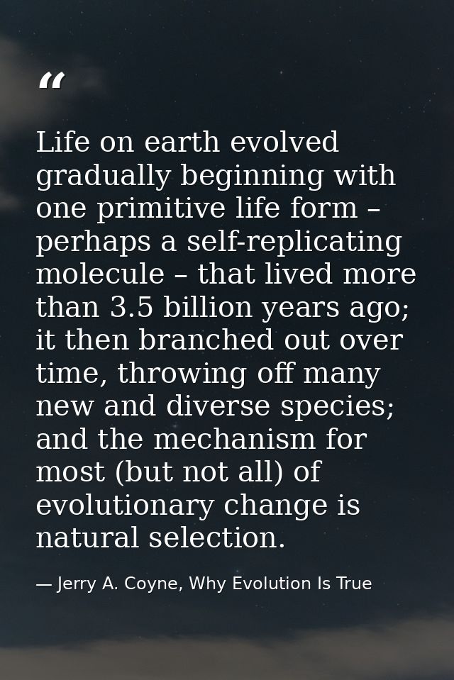 Life on earth evolved gradually beginning with one primitive life form – perhaps a self-replicating molecule – that live — Jerry A. Coyne, Why Evolution Is True