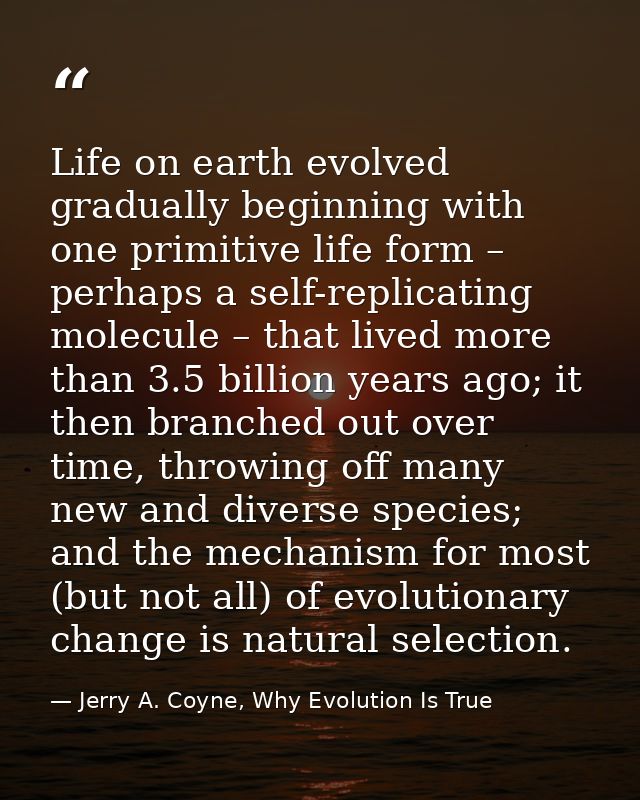 Life on earth evolved gradually beginning with one primitive life form – perhaps a self-replicating molecule – that live — Jerry A. Coyne, Why Evolution Is True
