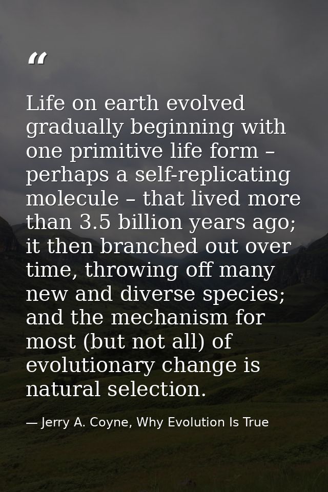 Life on earth evolved gradually beginning with one primitive life form – perhaps a self-replicating molecule – that live — Jerry A. Coyne, Why Evolution Is True