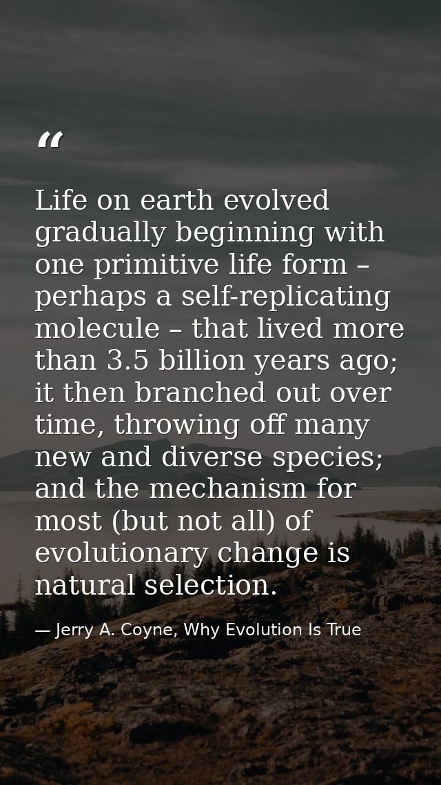 Life on earth evolved gradually beginning with one primitive life form – perhaps a self-replicating molecule – that live — Jerry A. Coyne, Why Evolution Is True