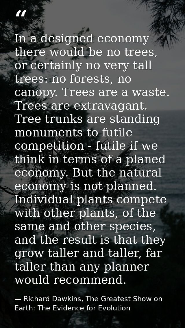 In a designed economy there would be no trees, or certainly no very tall trees: no forests, no canopy. Trees are a waste — Richard Dawkins, The Greatest Show on Earth: The Evidence for Evolution
