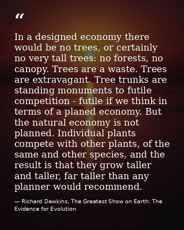 In a designed economy there would be no trees, or certainly no very tall trees: no forests, no canopy. Trees are a waste — Richard Dawkins, The Greatest Show on Earth: The Evidence for Evolution